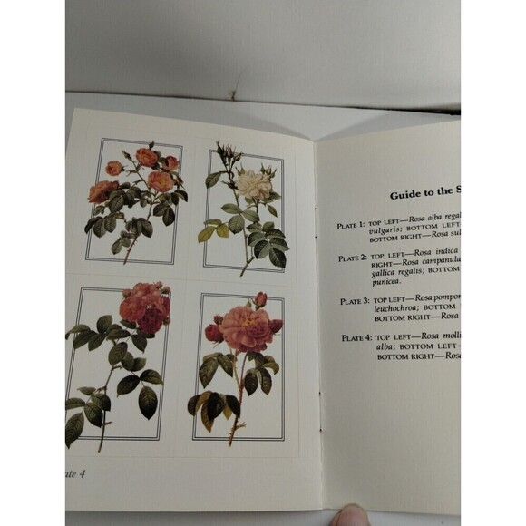 Redoute Rose Stickers: 16‎ Pressure-Sensitive Designs (Dover Stickers) Redoute - Picture 2 of 5